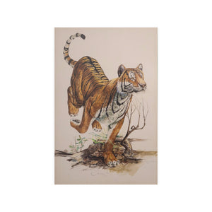 Tom Watson's "Tiger" Watercolor Art Print
